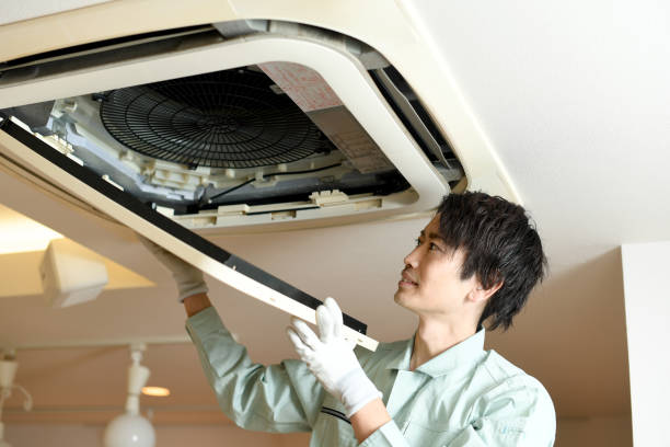 Best Local Air Duct Cleaning Services  in Lauderdale Lakes, FL